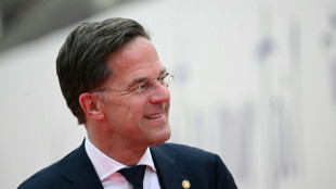 NATO names Dutch PM Rutte as next boss