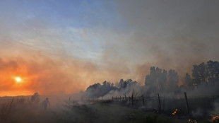 Argelia logra apagar la mayoría de los incendios, pero aún hay 13 focos activos