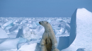 Biden limita explotación de petróleo en inmensa región de Alaska