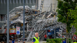 At least three dead as scaffolding collapses in Switzerland