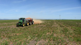 Bauernverband fordert mehr Geld für Einsatz für Klimaschutz und Tierwohl