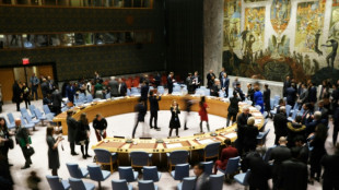 Consejo de Seguridad de la ONU vota sobre ayuda humanitaria transfronteriza a Siria