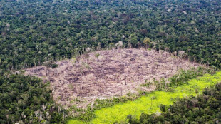 Dura critica del Brasile alle norme Ue contro la deforestazione