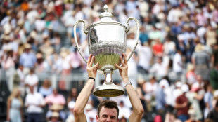 Paul warms up for Wimbledon with Queen's final victory