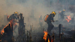 Brazil sees area burned by fire nearly double in November