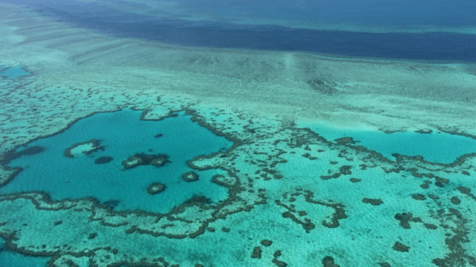 Australia falls short in Great Barrier Reef efforts: experts 