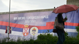 L'ONU crée une Journée de commémoration du génocide de Srebrenica, fustigée par les Serbes