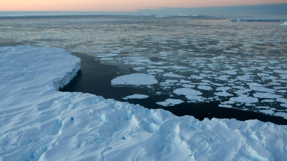 Globales Meereis schrumpft auf Rekordtief - Februar erneut außergewöhnlich warm