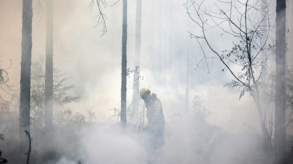 Europa sufre un verano récord de superficie quemada por los incendios