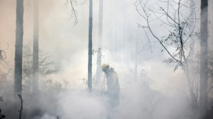 Europa sufre un verano récord de superficie quemada por los incendios