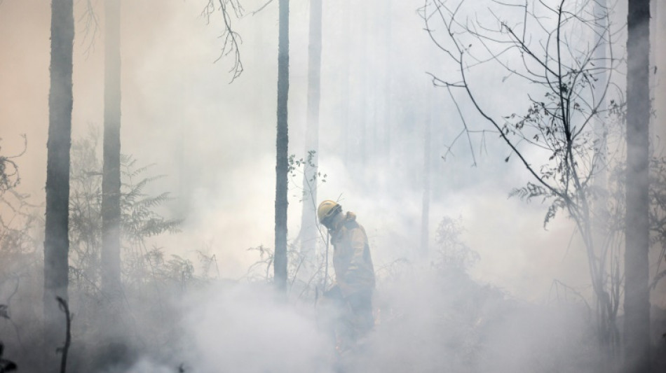 Feux de forêt: un été record de surfaces brûlées en Europe