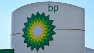 BP decide suspender también su tránsito por el mar Rojo