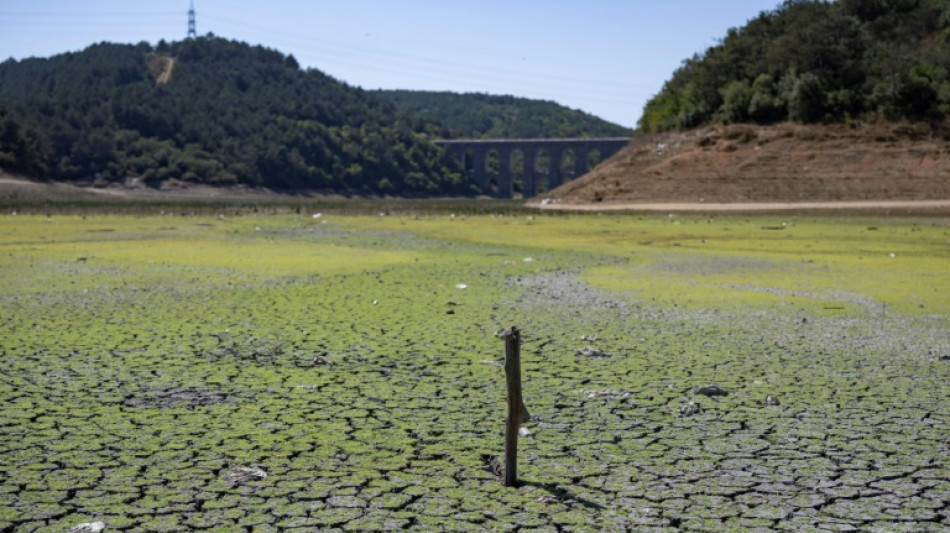 "De mauvais jours nous attendent": les barrages d'Istanbul s'assèchent sous la vague de chaleur