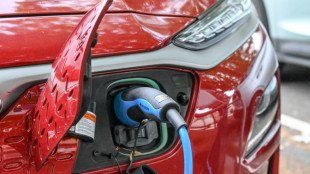 Neuzulassungen: Jedes dritte Elektroauto 2023 in Deutschland angemeldet