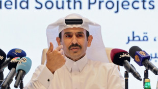 Le Qatar annonce un important contrat gazier pour approvisionner l'Allemagne