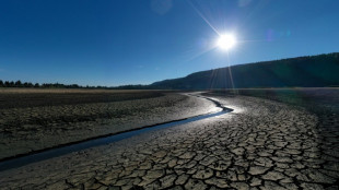 Le gouvernement rattrapé par la sécheresse historique en France