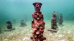En Colombie, un étrange musée sous-marin pour protéger les coraux des Caraïbes