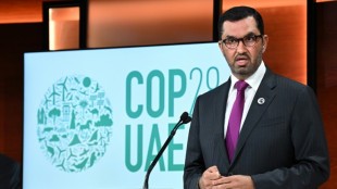 Climate 'loss and damage' dominates UAE talks ahead of COP28