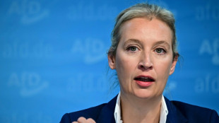 AfD-Chefin Weidel: US-Wahl könnte "ein Vorbild für Deutschland sein"