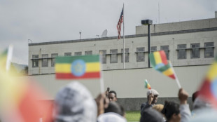 Western powers urge Ethiopia, rebels to enter peace talks