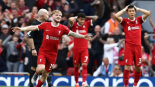 Rejuvenated Liverpool dent Tottenham's Champions League push