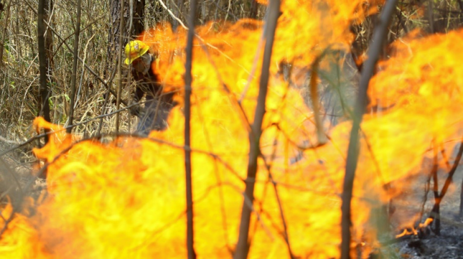 Doze acusados por incêndios florestais são presos na Venezuela