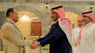 Delegación saudita deja Yemen pero se esperan más conversaciones de paz