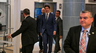 Trudeau chega à Flórida para encontro com Trump em meio a ameaças aduaneiras