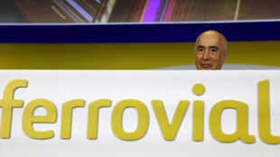 Los accionistas de la española Ferrovial aprueban el polémico traslado a Países Bajos