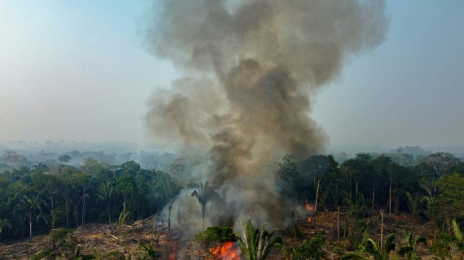 Amazônia Legal registra quase 3.000 incêndios, um recorde para o mês de fevereiro