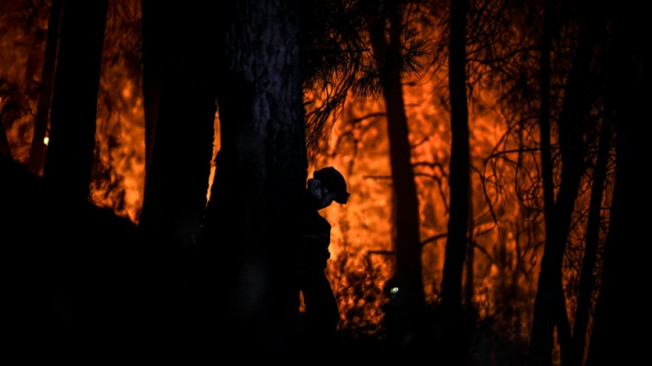 Reprise du feu de forêt dans un parc naturel du centre du Portugal