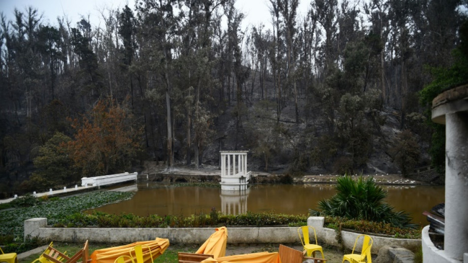 Oasis luxuriante, le plus grand jardin botanique du Chili n'est plus que cendres