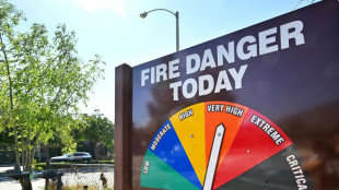 Ola de calor en California provoca incendios forestales