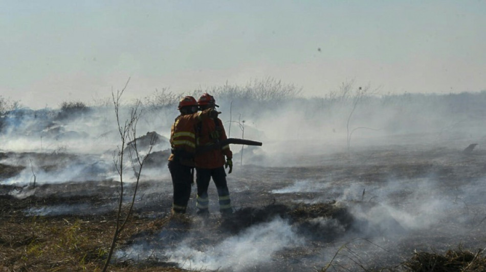 'Out of control fires' in Brazil wetlands spark state of emergency