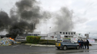 Nestlé cierra una fábrica en Francia tras un escándalo de pizzas contaminadas