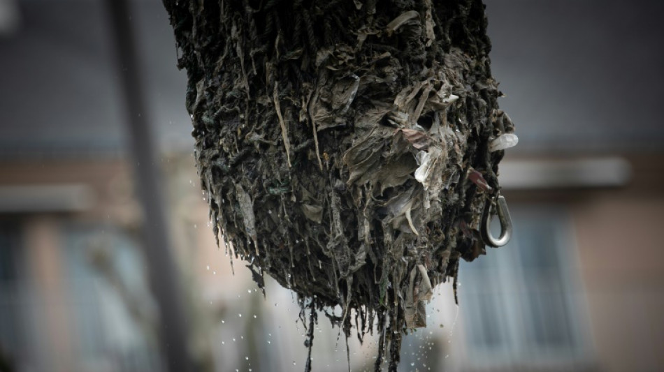 Le long de la Seine, l'étonnant périple des déchets plastiques