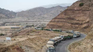 Llega a región etíope de Tigré el primer convoy de ayuda alimentaria de la ONU desde el alto el fuego