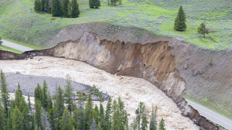 Inondations record à Yellowstone, une partie du parc fermée pour l'été