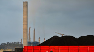Indonésie: les producteurs de charbon négligent les émissions de méthane (étude) 