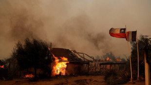 Thirteen dead as Chile forest fires provoke state of disaster