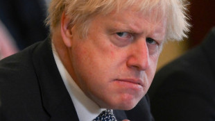 UK's Johnson blasted for 'Partygate' culture