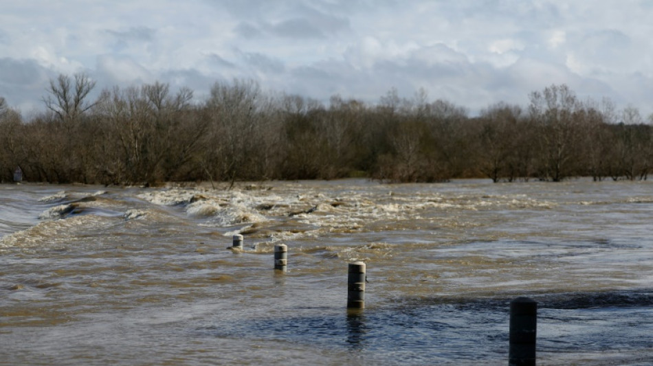 Seven missing after floods snare cars in southern France: official