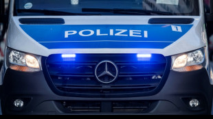 Polizei bei Einsatz in Berlin von rund 100 Menschen bedrängt