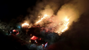 Brésil: incendies record dans la plus grande zone humide de la planète