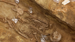 Ancient necropolis unearthed next to busy Paris train station