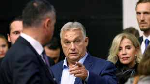 Rede im EU-Parlament: Orban will Europa "wieder groß machen"