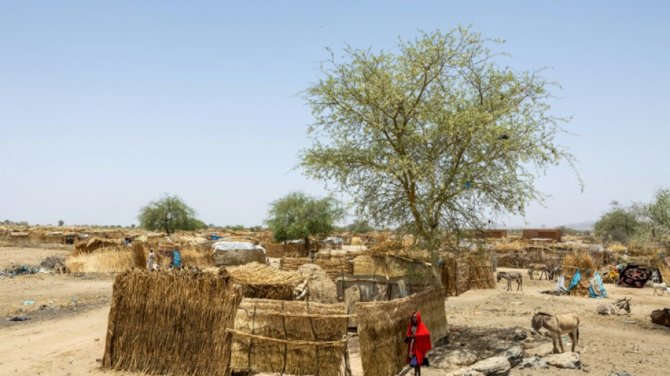 Tras un año de guerra en Sudán los supervivientes intentan salir adelante en Chad