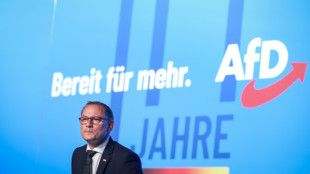 Staatsanwaltschaft sieht keine Anzeichen für Angriff auf AfD-Chef Chrupalla