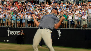 DeChambeau outlasts McIlroy to win second US Open crown