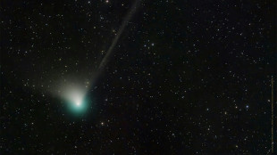 Once in 50,000-year comet may be visible to the naked eye